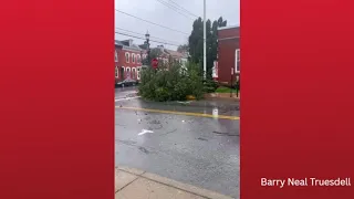 Storm damage in Columbia, Lancaster County