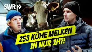 Monatliche Milchkontrolle verkackt?! Fehler auf dem Hof der Schwenks! I SWR Legends of Ländle