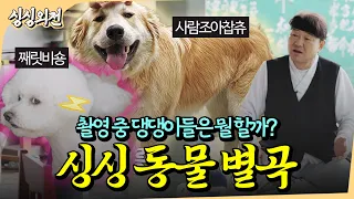 촬영장 동네 댕댕이들 다 모였다! 촬영 중 만난 시골 강쥐들⎪싱싱외전 ep2.