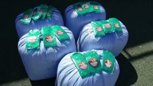 Tráfico de drogas frustrado en rutas del norte