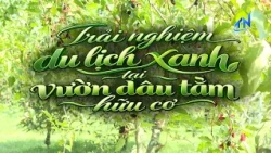 Tay Ninh 360: Green tourism experience at an organic mulberry farm