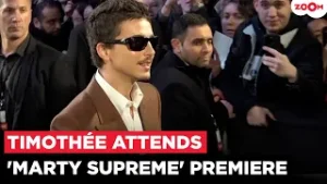 Timothée Chalamet Owns the Paris' RED CARPET at ‘Marty Supreme’ Premiere