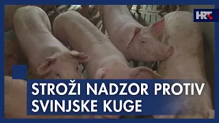 Strože mjere u borbi protiv svinjske kuge