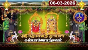 Sri Padmavathi Ammavari || Kalyanotsavam || Tiruchanoor || 06-03-2026 || SVBC2 Tamil || SVBC TTD