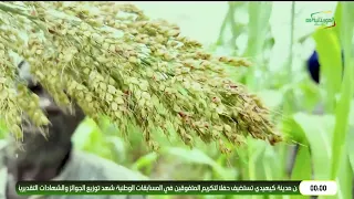 أخبار منتصف الليل 11-09-2026