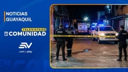 Violent night on Trinitaria Island: Armed attack leaves two victims | Televistazo | Ecuavisa
