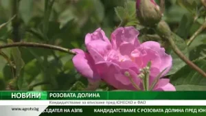РОЗОВАТА ДОЛИНА: Кандидатстваме за вписване пред ЮНЕСКО и ФАО