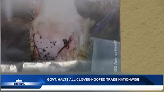 NAMIBIA SUSPENDS LIVESTOCK TRADE NATIONWIDE AFTER FMD OUTBREAK - nbc