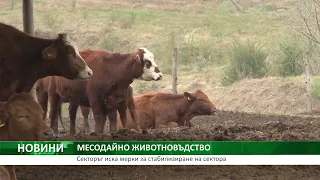 Централна емисия на АГРО ТВ: Рапицата с най-добра рентабилност, искания от месодайния сектор
