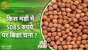 Mandi Khabar | मंडी खबर: किस मंडी में 5085 रुपये पर बिका चना | DD Kisan | 05/03/2026