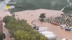 DANA | La inundación de Gandía vista desde el aire