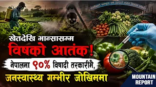खेतदेखि भान्सासम्म विषको आतंक! नेपालमा ९०% विषादी तरकारीमै, जनस्वास्थ्य गम्भीर जोखिममा ||