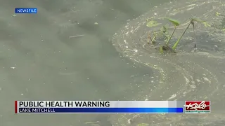 Public health warning issued for Lake Mitchell
