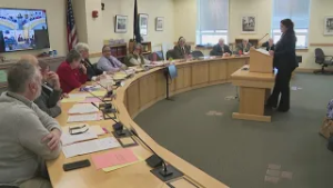 State lawmakers consider ways to improve security