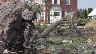 Neenah approves $2.9 million disaster declaration to speed up tornado recovery