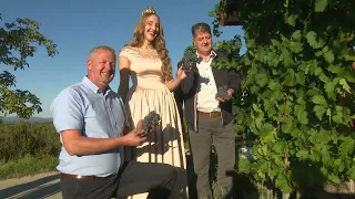 Trgatve potomke z Lenta