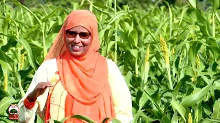 Atoota || Oomisha Hongee dandamatu