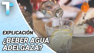 Does drinking water with meals help you lose weight? The truth behind the "stomach-filling" myth