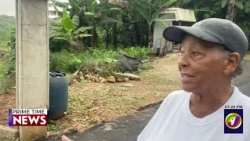 Trelawny Resident Still Awaiting Compensation for Land Used to Build Temporary Road | TVJ News