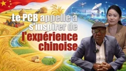 The PCB calls for drawing inspiration from the Chinese experience