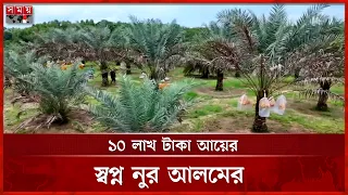 পাহাড়ে ফলছে আরব দেশের খেজুর | Khagrachari News | Saudi Arabia Date | Somoy TV