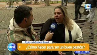 Pedestrian Day: Street Awareness and Testimonials