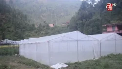 राष्ट्रिय कृषि आधुनिकीकरण कार्यक्रम दोस्रो चरणमा सञ्चालन गर्न परियोजना तयार