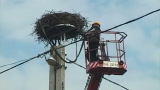 TERMÉSZET HÍREI (2026. július 30.)