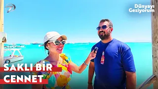 Pool or Red Sea? You Decide Where to Swim! | Traveling the World