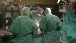 Faster Access: Shorter Wait Times for Surgeries