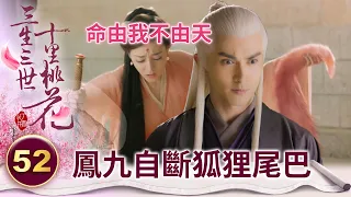 癡情鳳九為了能和帝君有一段姻緣 竟自斷狐狸尾巴！？【三生三世十里桃花】精華 EP52-6 楊冪、趙又廷、迪麗熱巴、高偉光、張智堯 @ctvdrama_classic