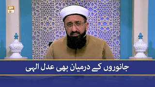 Janwaron ke Darmiyan bhi Adl-e-Ilahi - Mufti Muhammad Sohail Raza Amjadi