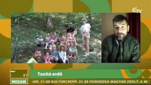 Tanító erdő – Mozaik