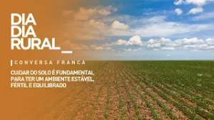 Cuidar do solo é fundamental para ter um ambiente estável, fértil e equilibrado