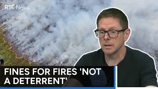 Irish laws around starting fires stuck '30 years' in the past - Ecologist | RTÉ News