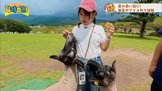 Create Fun Summer Vacation Memories! "Takachiho Farm" - Wednesday, August 12, 2026 "4 O'clock Doki!"