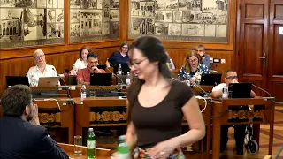 Sjednica Gradskog Vijeća Grada Pule 29.07.2026. 2/3