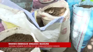 JANKEY TOURAY ON  FARMERS PLATFORM