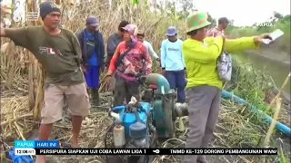 IVIMAHAD FARMERS THREATENED BY CROP FAILURE