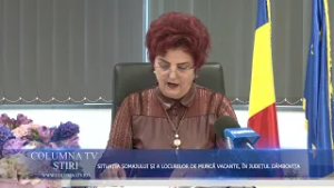 SITUAȚIA SOMAJULUI SI A LOCURILOR DE MUNCA VACANTE, ÎN JUDEȚUL DÂMBOVIȚA