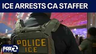 ICE detains California assemblymember's staffer