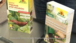 Ferrum Market - tipy a rady na podzim