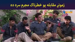 زمونږ مقابله یو خطرناک مجرم سره ده || Pashto Comedy || Ulas Ao Pulas || AVT Khyber