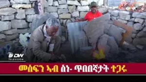 DW International ኣብ ስነ- ጥበበኛታት ተጋሩን ብድሆታቶምን