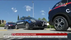 Sicilia24 15 Febbraio 2026 - ore 9,30