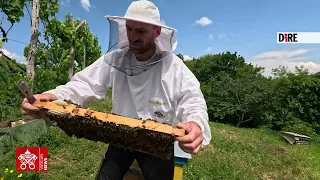 Albania, a Puka il miele  crea lavoro e favorisce il ritorno dei giovani