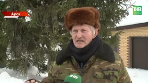 83 сантиметра снега и грачи в феврале: ждать ли раннюю весну в Татарстане?