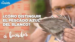 Truco para distinguir el pescado azul del blanco