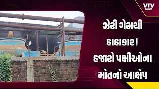 ખંભાતમાં કેમિકલ કંપનીના ઝેરી ગેસથી હાહાકાર, હજારો પક્ષીઓના મોતનો આક્ષેપ
