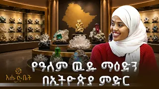 ቢሊየን ብሮችን ያስገኙ የኢትዮጵያ ማዕድናት | ብታዩት | እሁድ ቤት